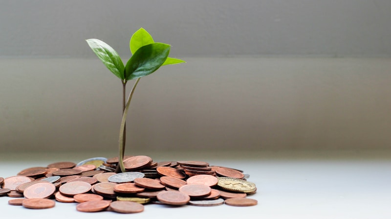 Earn 30% Recurring Commission — host4.ai Affiliate Program