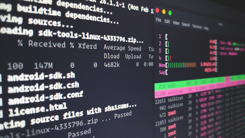 host4.ai vs Bolt.new: Full Server vs Locked Ecosystem